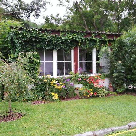 Ferienhaeuschen Gruber Villa Loosdorf Kültér fotó